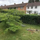Business 20 image M&M LANDSCAPES Tree Services in Bracknell Be