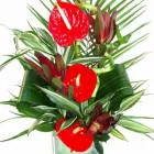 Business 23 image MAKO SHARPENING SERVICES Saw Suppliers & Services in Newry Co