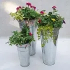 Business 8 image MAKO SHARPENING SERVICES Saw Suppliers & Services in Newry Co