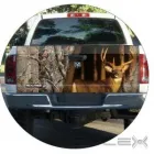 Business 2 image MANCHESTER WRAP STARS Window Tinting in Stockport Gr