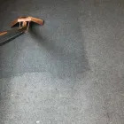 Business 36 image MANOR CARPET & UPHOLSTERY CLEANING Upholstery Cleaners in Newark No