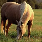 Business 1 image MARK'S DRIVING SCHOOL Driving Schools in Rotherham So