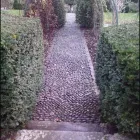 Business 12 image MARSHALL-JAMES GARDEN DEVELOPMENT LTD Tree Services in Beaminster Do