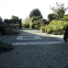 Business 15 image MARSHALL-JAMES GARDEN DEVELOPMENT LTD Tree Services in Beaminster Do