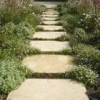 Business 17 image MARSHALL-JAMES GARDEN DEVELOPMENT LTD Tree Services in Beaminster Do