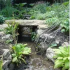 Business 26 image MARSHALL-JAMES GARDEN DEVELOPMENT LTD Tree Services in Beaminster Do