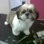 Business 14 image MATALAN RETAIL LTD Department Stores in Dundee An