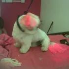 Business 15 image MATALAN RETAIL LTD Department Stores in Dundee An