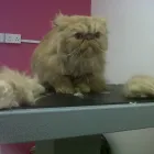 Business 16 image MATALAN RETAIL LTD Department Stores in Dundee An