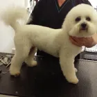 Business 17 image MATALAN RETAIL LTD Department Stores in Dundee An