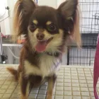 Business 20 image MATALAN RETAIL LTD Department Stores in Dundee An