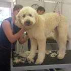 Business 25 image MATALAN RETAIL LTD Department Stores in Dundee An