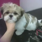 Business 26 image MATALAN RETAIL LTD Department Stores in Dundee An