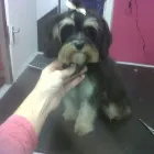 Business 28 image MATALAN RETAIL LTD Department Stores in Dundee An