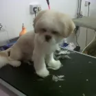 Business 3 image MATALAN RETAIL LTD Department Stores in Dundee An