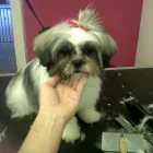 Business 6 image MATALAN RETAIL LTD Department Stores in Dundee An