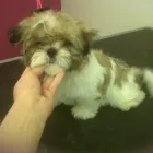 Business 7 image MATALAN RETAIL LTD Department Stores in Dundee An