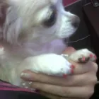 Business 10 image MATALAN RETAIL LTD Department Stores in Dundee An