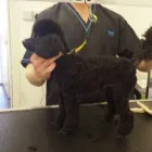 Business 11 image MATALAN RETAIL LTD Department Stores in Dundee An