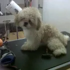 Business 12 image MATALAN RETAIL LTD Department Stores in Dundee An