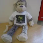 Business 6 image MATRIX PRINT & DESIGN Printers & Lithographers in Barnstaple De