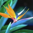 Business 4 image MATTHEW HARRINGTON MASSAGE THERAPY Complementary Therapies in Bristol Av