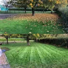 Business 8 image MCNEILL GARDENING & LANDSCAPING Tree Services in Perth Pkn