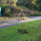 Business 17 image MCNEILL GARDENING & LANDSCAPING Tree Services in Perth Pkn