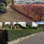 Business 19 image MCNEILL GARDENING & LANDSCAPING Tree Services in Perth Pkn