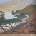 Business 3 image MELLORS & KIRK Business & Professional Services in Nottingham No