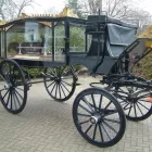 Business 6 image MERILYN PHILLIPS LTD Kitchen Planning & Installation in Wirral Me