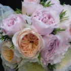 Business 15 image MERRYLEE PHARMACY Pharmacies in Glasgow La