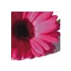 Business 4 image MERRYLEE PHARMACY Pharmacies in Glasgow La