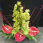 Business 7 image MERRYLEE PHARMACY Pharmacies in Glasgow La