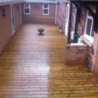 Business 2 image MILLENNIUM REPTILES Pet Services in Sawbridgeworth He