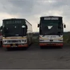 Business 4 image MILLERS COACHES SCOTLAND LTD Transportation Services in AIRDRIE La