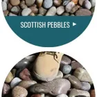 Business 31 image MINSTER GARDEN & LANDSCAPING Turf Suppliers in Beverley No