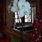 Business 11 image MJ GAS Plumbers in Feltham Mi