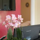 Business 9 image MM LOCKSMITHS Locksmiths in Addlestone Su