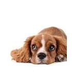 Business 3 image MONEY EXPERT Insurance Services in Godalming Su