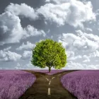 Business 1 image MOOREY'S HEALTH STORES Health Food Shops in Preston La