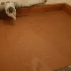 Business 72 image MORTON DECORATORS & TILERS Painters & Decorators in Gainsborough Li