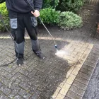 Business 12 image MOSS BUSTERS Shopping & Retail in East Grinstead We