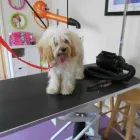 Business 10 image MOSTON LOCKSMITHS Locksmiths in Manchester La