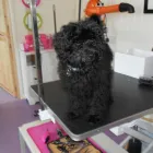 Business 3 image MOSTON LOCKSMITHS Locksmiths in Manchester La