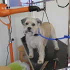 Business 4 image MOSTON LOCKSMITHS Locksmiths in Manchester La