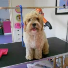 Business 1 image MOSTON LOCKSMITHS Locksmiths in Manchester La