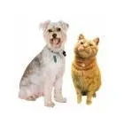 Business 1 image MOTOR WORLD Motor Factors in Manchester La