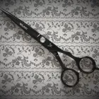 Business 8 image MR KNIFE GUY Tools & Hardware in Whitworth Co