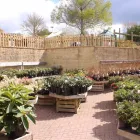 Business 1 image MULBERRY & THYME BATH Restaurants in Bath Av